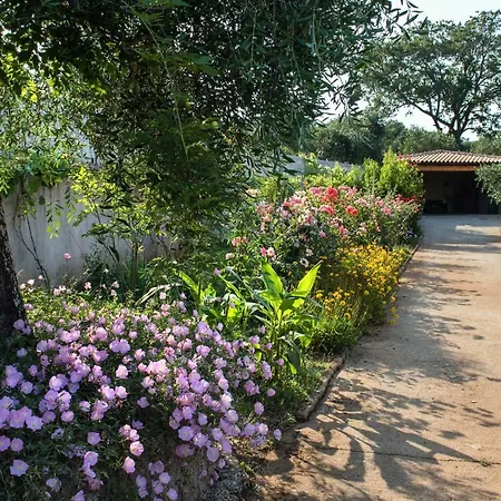 Girasole Βίλα Limni (Corfu)